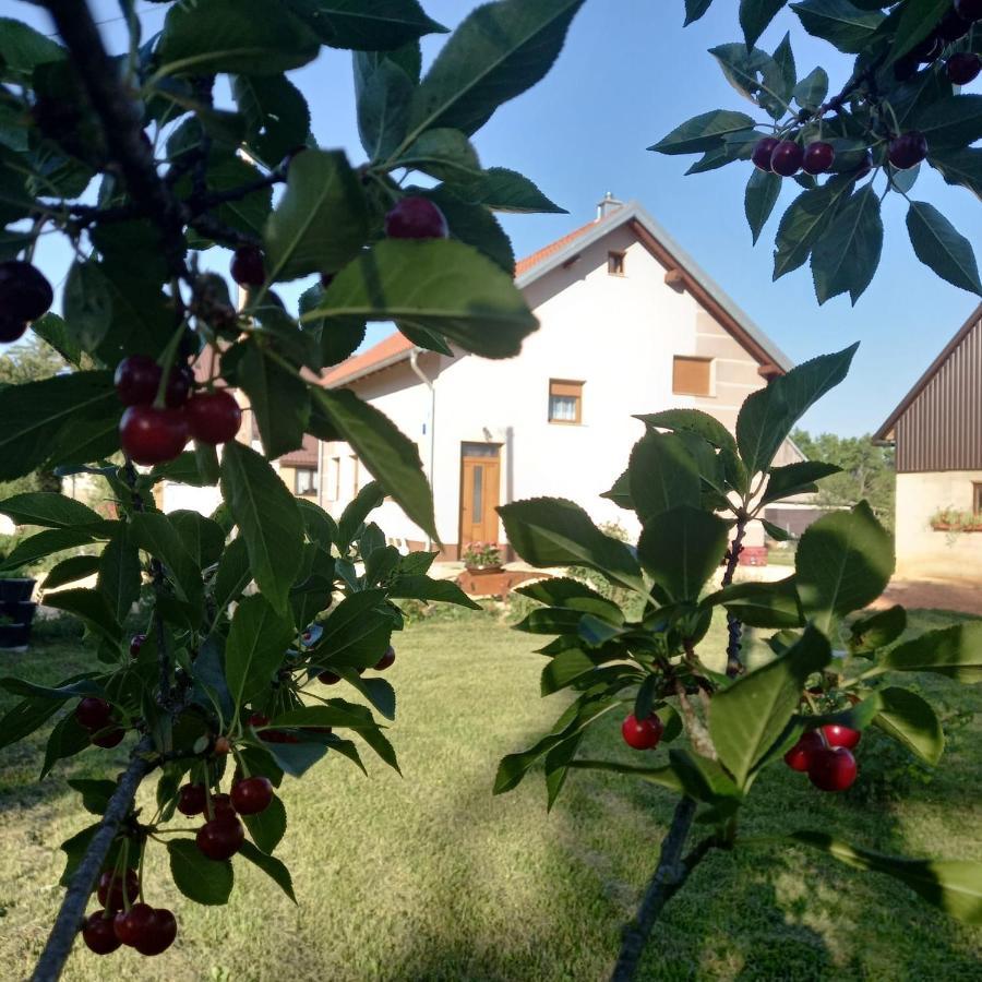 Kuca Za Odmor Boki Villa Gospić Екстериор снимка
